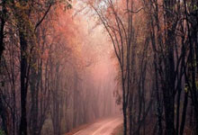 費萊尼稱贊在中國生活感覺就像在家裏一樣.