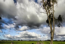 [亚冬会]哈尔滨亚冬会高山滑雪赛场准备就绪.