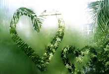 【足球】周六011英超联赛推荐:南安普敦VS布莱顿.