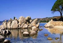 馬卡報介紹西班牙復古球衣 復刻1996年歐洲杯經典款.